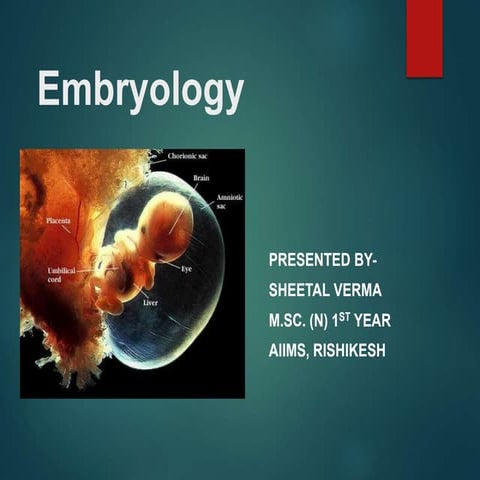 Embryology seminar