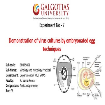 Embryonated egg notes | PPTX