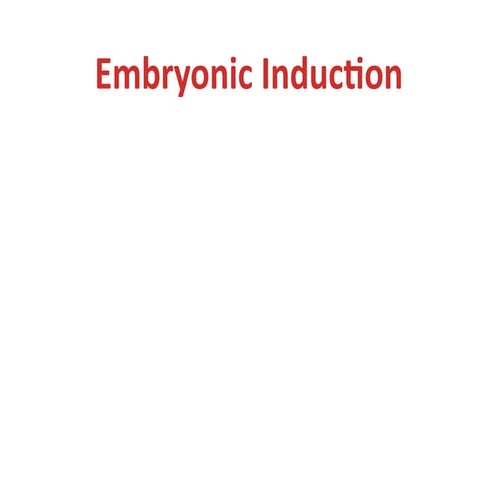embryonic-induction.pdf