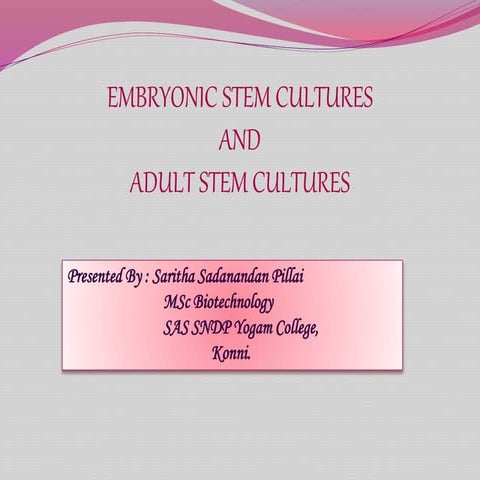 Embryonic stem culture 