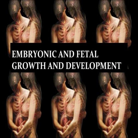 Embryonic and fetal growth and development