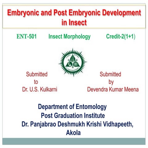 Embryonic and post embryonic development in insect