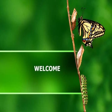 Embryonic and post embryonic development in insects