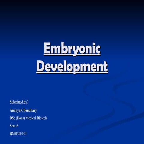 Embryonic Development