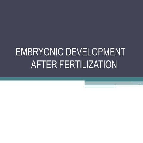 Embryonic development after fertilization