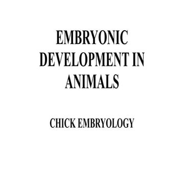 embryonic development in chick.pptx