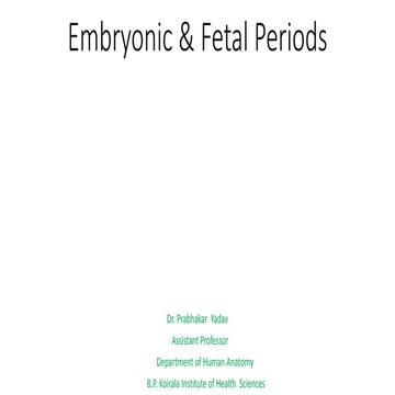 Embryonic & Fetal periods