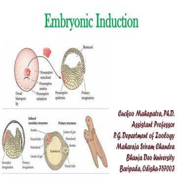 Embryonic luction induction embryonic.pptx