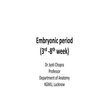 Embryonic period