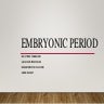 Embryonic period.pptx