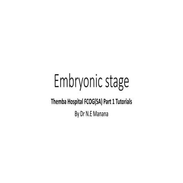 Embryonic stage