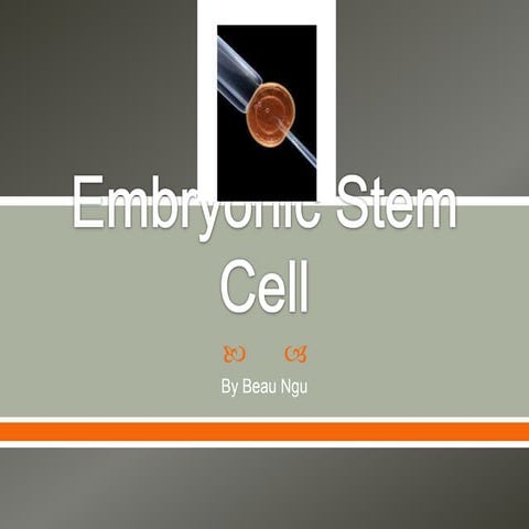 Embryonic stem cell project