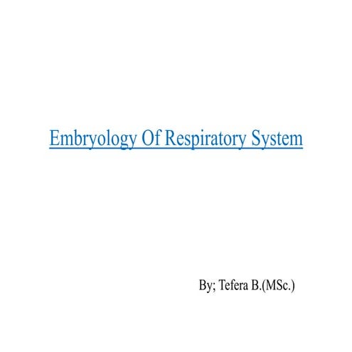 Chapter 1 fetal lung development | PPTX