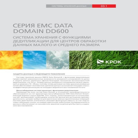 Серия EMC Data Domain DD600 | PDF