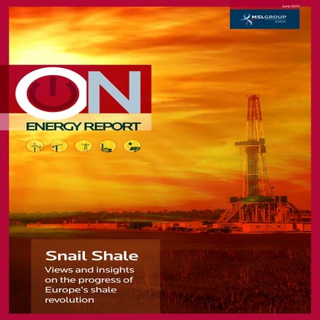 MSLGROUP EMEA Energy Report June 2013: Snail Shale