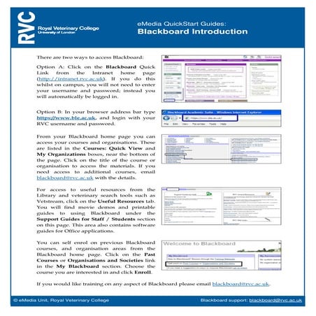 E mediaguides blackboard introduction