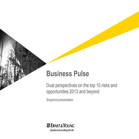 Business Pulse - Dual perspectives on the top 10 risks and opportunities 2013...