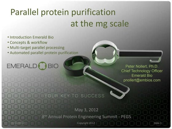 Emerald bio nollert_pegs_draft_v4.3