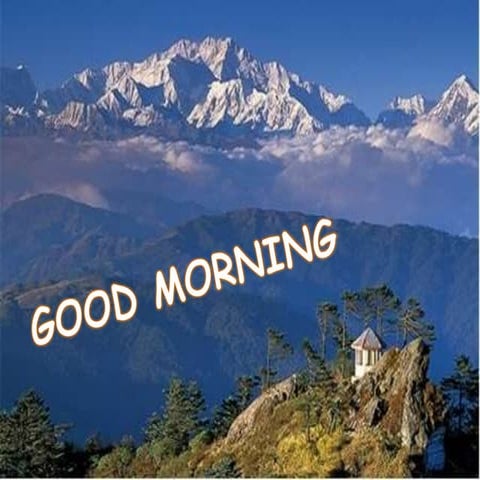 primary care in (trauma)