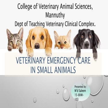 Veterinary Emergency Medicine 