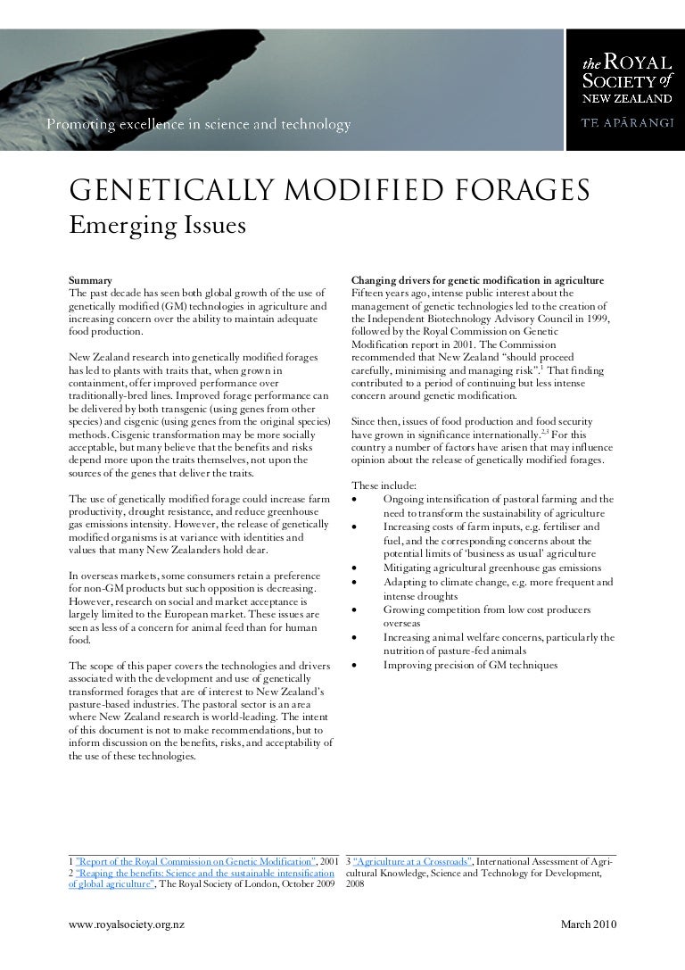 Current issues for speech picture