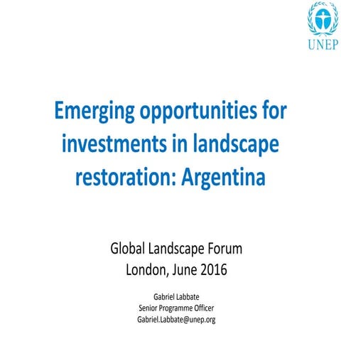 Emerging opportunities for investments in landscape restoration: Argentina