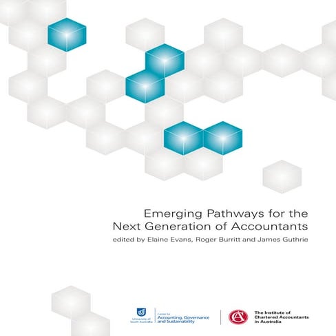 Emerging pathways for the next generation of accountants | PDF