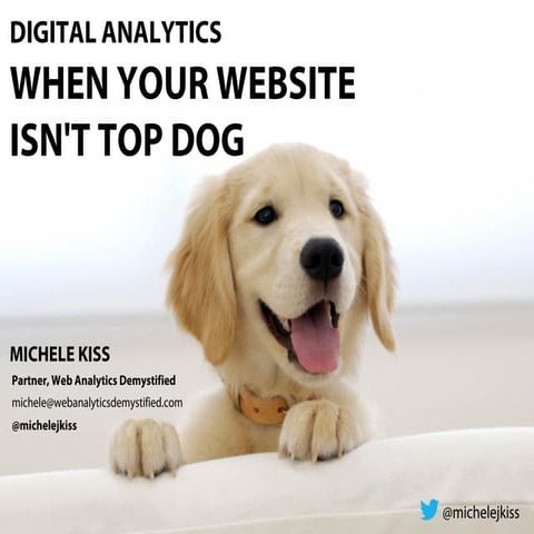 Digital Analytics When Your Website Isn't "Top Dog"