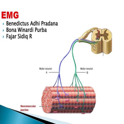 EMG