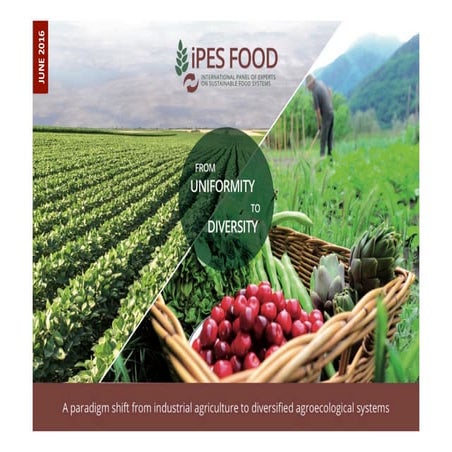 Technology and Innovation for Sustainable Food Systems and Nutrition | PDF