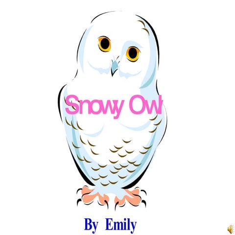 Emily and the Snowy Owl