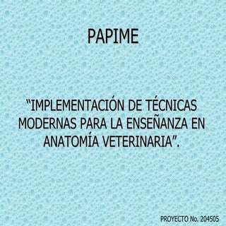 Eminencias y depresiones