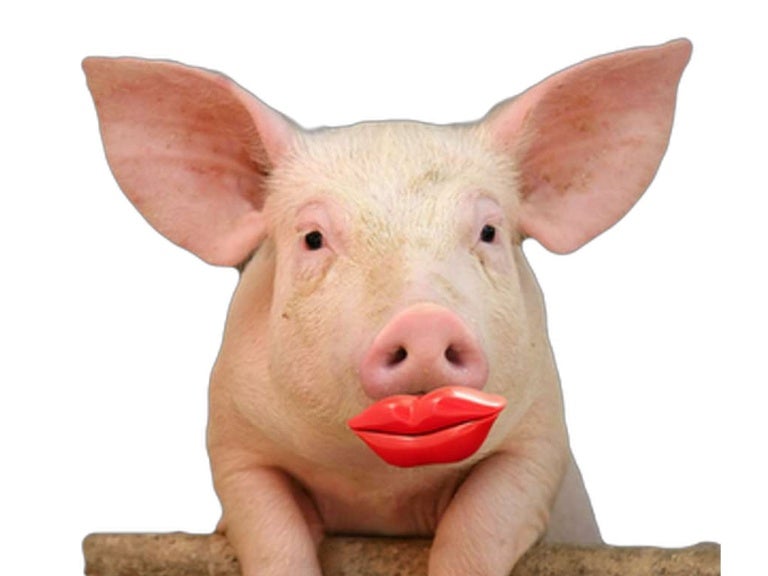 Putting lipstick on a pig