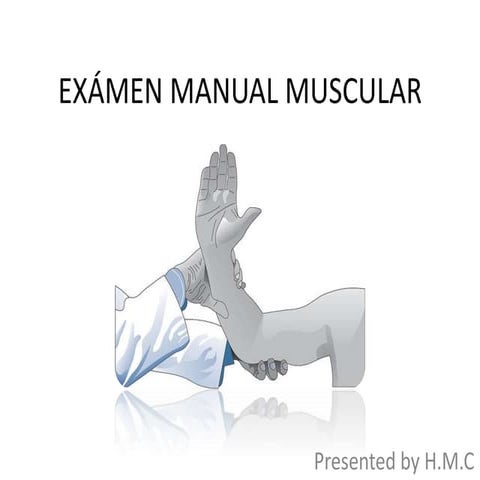 Flexion y extencion de muñeca | PPT