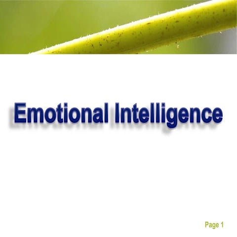 Emotional intelligence