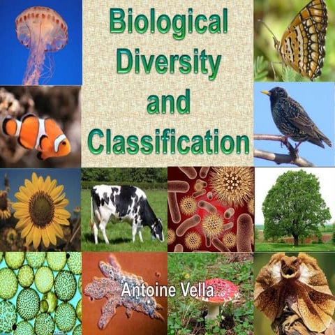Emp1003 biodiversity and classification