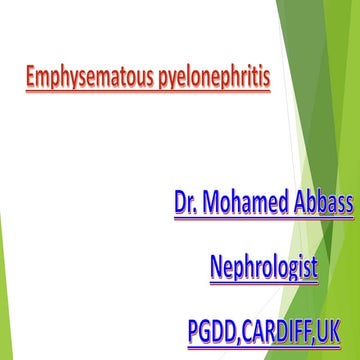 Emphysematous  Pyelonephritis.pptx