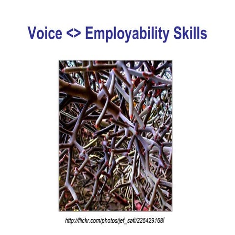 Employability Skills And Voice