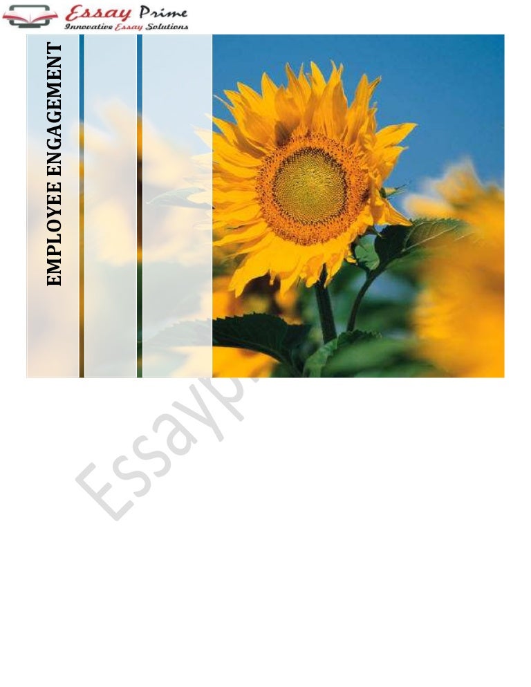 Employee Engagement Essay Sample