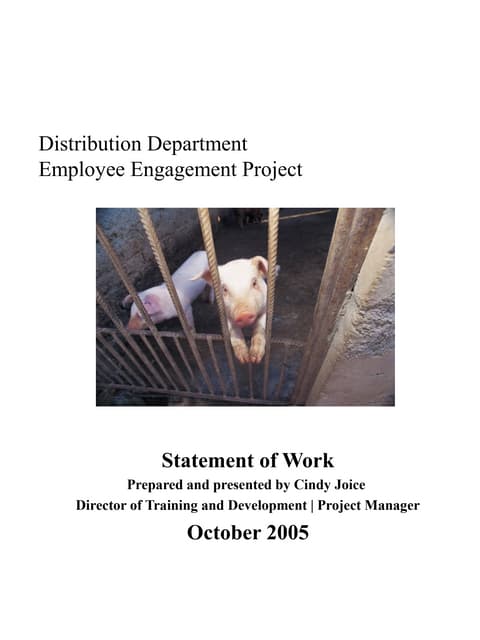 Employee engagement project statement of work