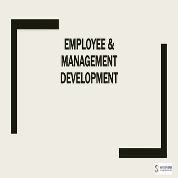 Employee &amp; management development