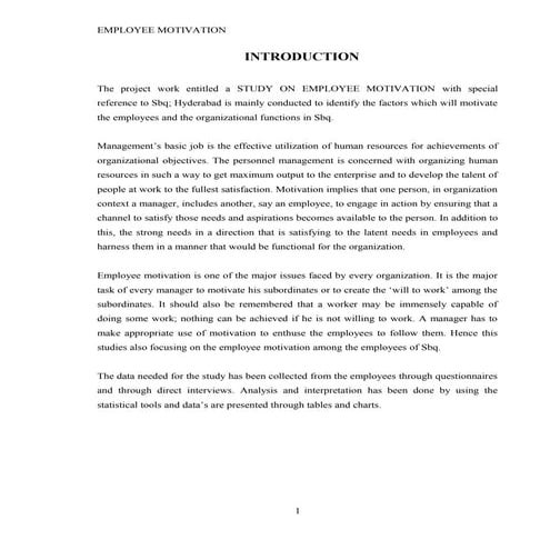 Employee motivation sbq project