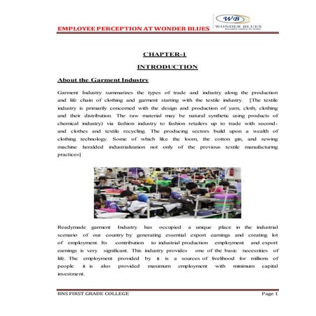 Employee perception at wonder blues project report