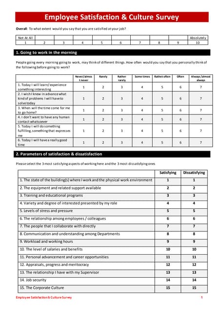 Questionnaire on Work Culture | PDF
