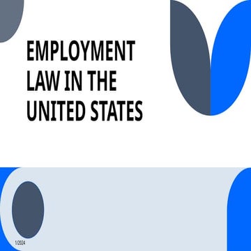 EMPLOYMENT LAW IN THE UNITED STATES2.pptx