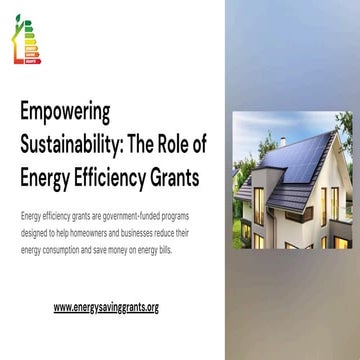 Empowering Sustainability The Role of Energy Efficiency Grants.pdf