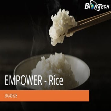Empower in Rice Production report in Philippine.pptx