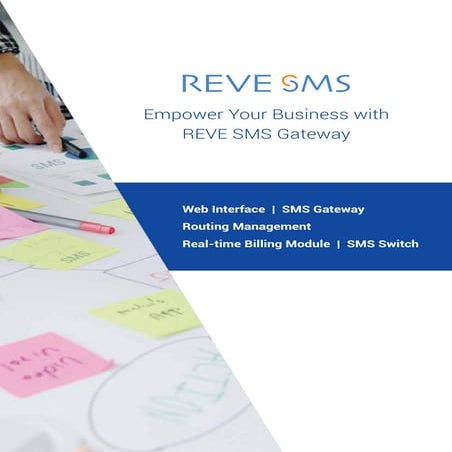 Empower Your Business with REVE SMS Gateway.pdf