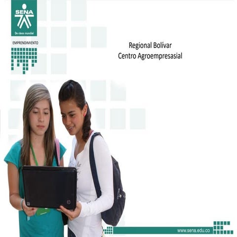 Emprendimiento norma paternina bello