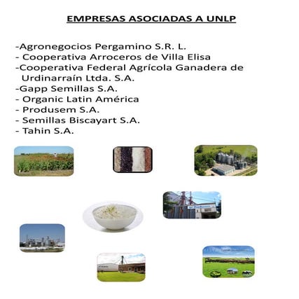 Empresas asociadas a unlp
